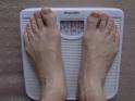 scale24